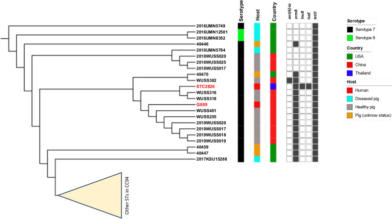 Genomic characterization and virulence of Streptococcus suis serotype 7 sequence type 373 of clonal complex 94.