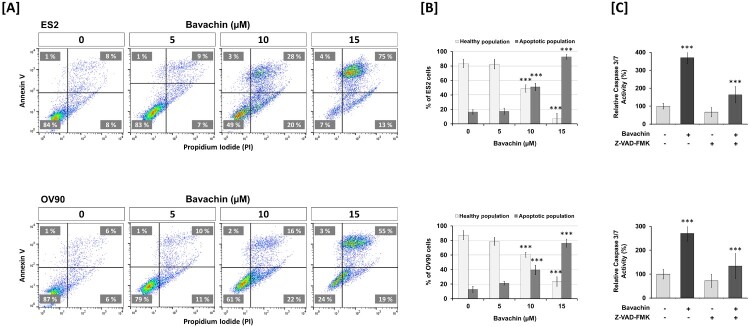 Bavachin enhances paclitaxel sensitivity in ovarian cancer cells through modulation of mitochondrial function and ER stress.