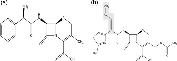 Extended-spectrum beta-lactamases: definition, history, an update on their genetic environment and detection methods.