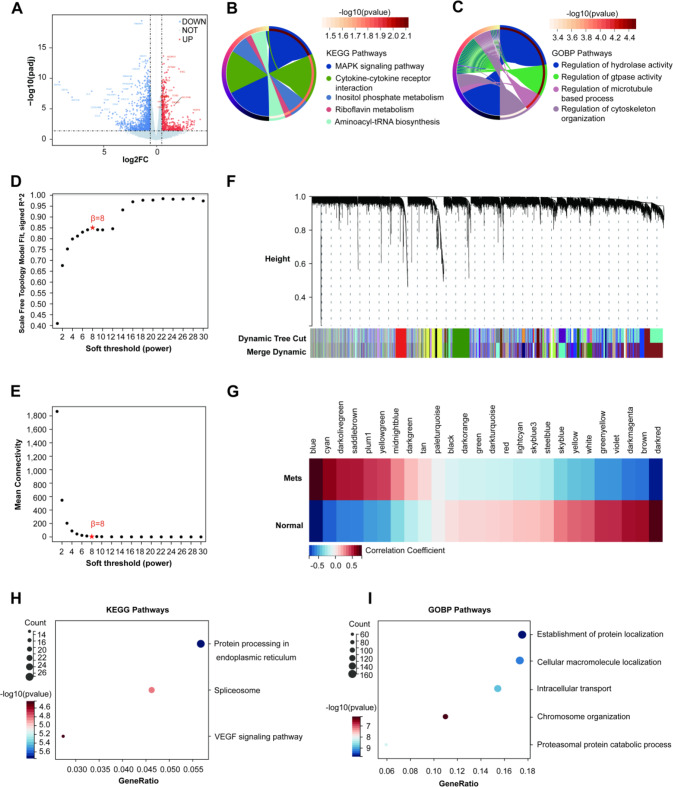 Integrated muti-omics data and machine learning reveal CD151 as a key biomarker inducing chemoresistance in metabolic syndrome-related early-onset left-sided colorectal cancer.