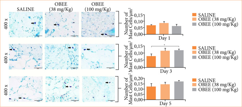 Healing effects of topically applied Ocimum basilicum L. on excisional wounds in mice.