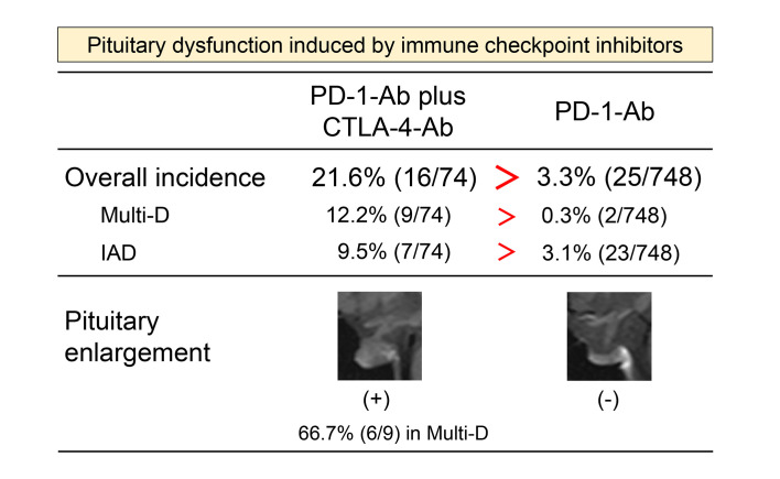Combined PD-1 and CTLA-4 Blockade Increases the Risks of Multiple Pituitary Hormone Deficiency and Isolated Adrenocorticotropic Deficiency: A Prospective Study.