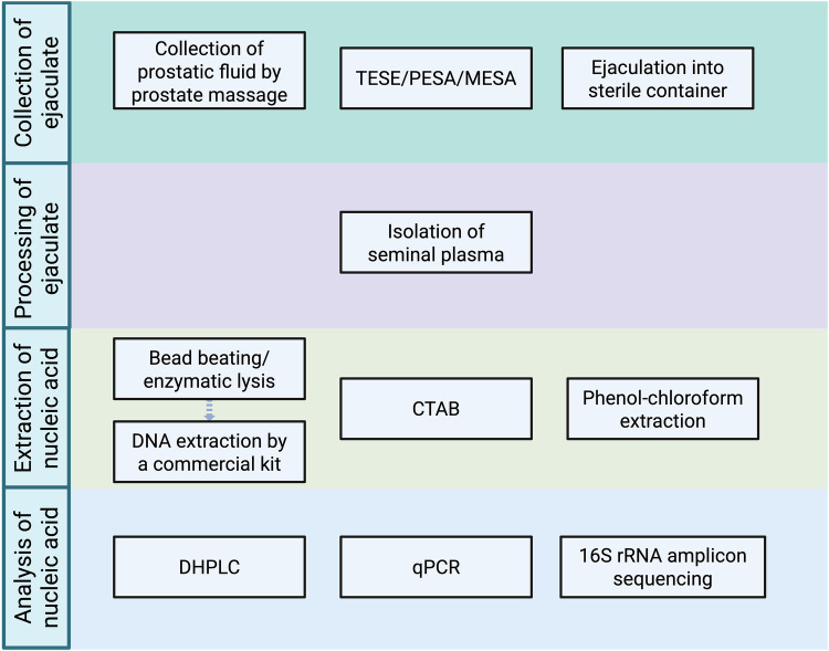 State-of-the-art approaches in the investigation of human seminal bacteriome using metagenomic methods.