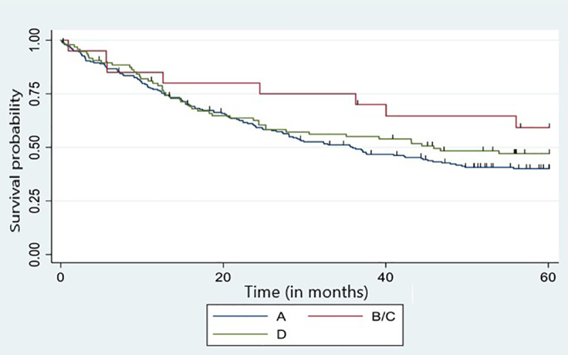 Associations between genetic HPV 16 diversity and cervical cancer prognosis.