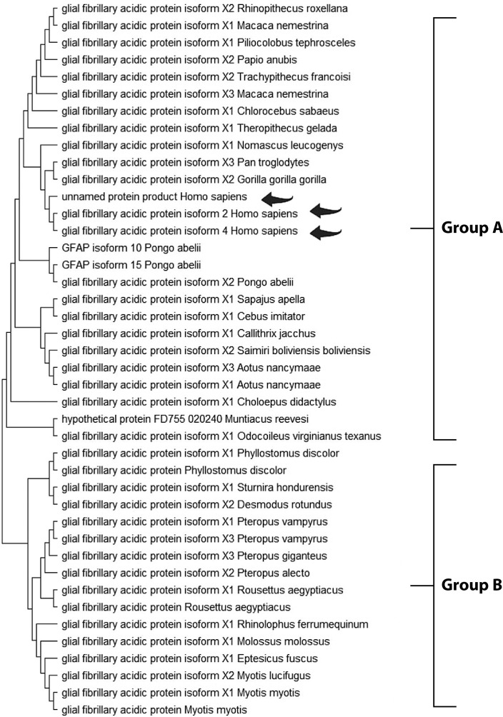 Integration of proteomics and bioinformatics in traumatic brain injury biomarker discovery.