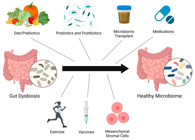 Gut Microbiome in Pulmonary Arterial Hypertension-An Emerging Frontier.