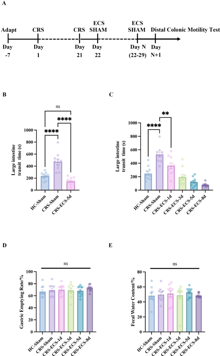 Electroconvulsive therapy improves distal colonic motility via the subdiaphragmatic vagus nerve in depressive-like mice.
