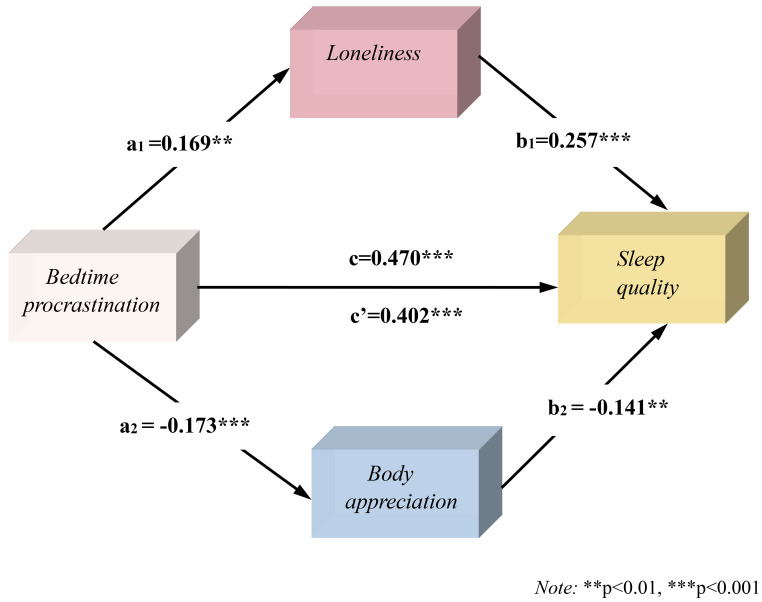 The Role of Bedtime Procrastination, Rumination, Loneliness, and Positive Body Image in Predicting Sleep Quality Among University Students: A Sex-Specific Analysis.