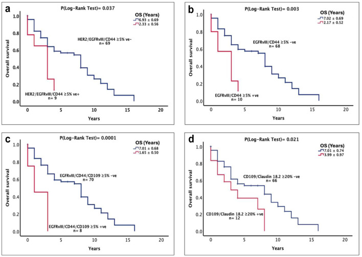 Co-expression of HER2/EGFRvIII/CD44 and Claudin 18.2/CD109 as Novel Prognostic Indicators in Stomach Adenocarcinoma.
