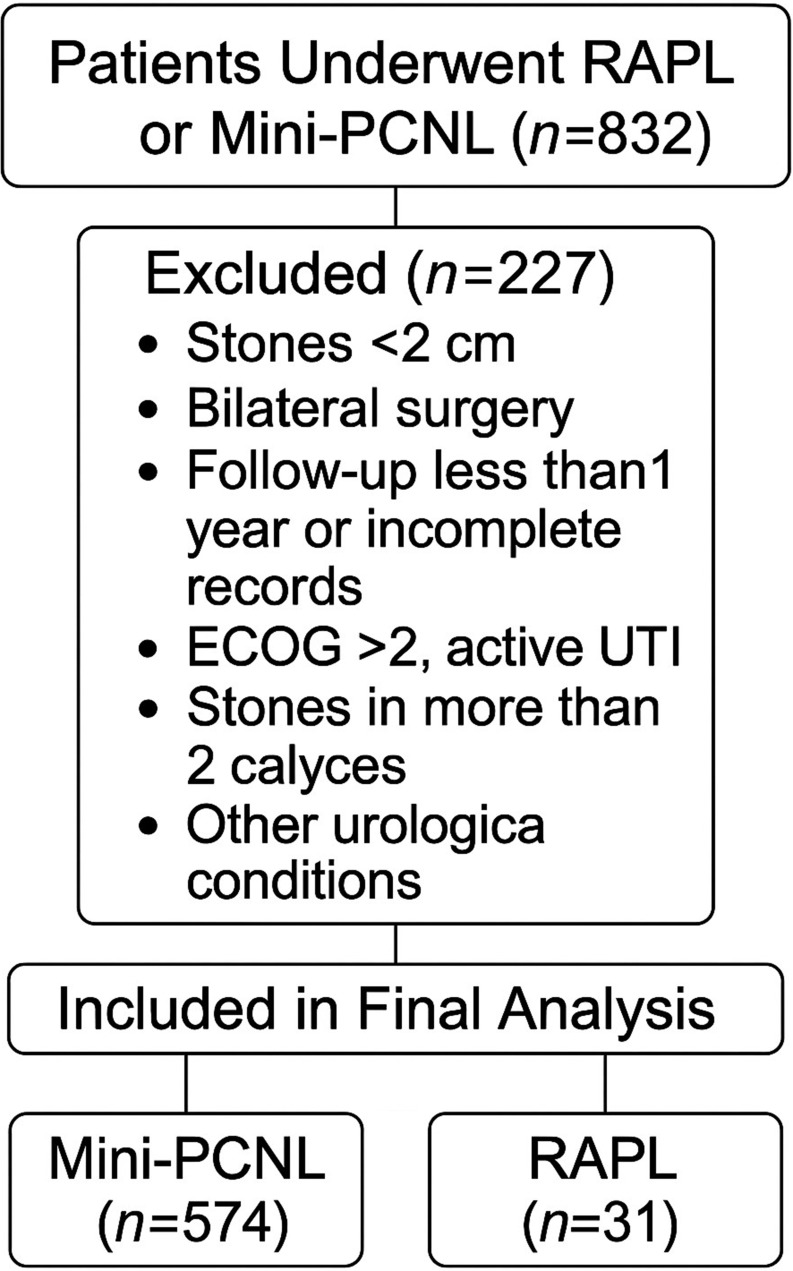 Comparative Analysis of Surgical Outcomes Between Robotic-Assisted Pyelolithotomy and Mini-Percutaneous Nephrolithotomy for Renal Stones Larger Than 2 cm in Older Adults: A One-Year Follow-Up Study.
