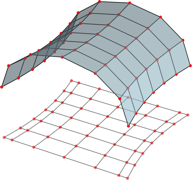 Cortical dynamics of neural-connectivity fields.