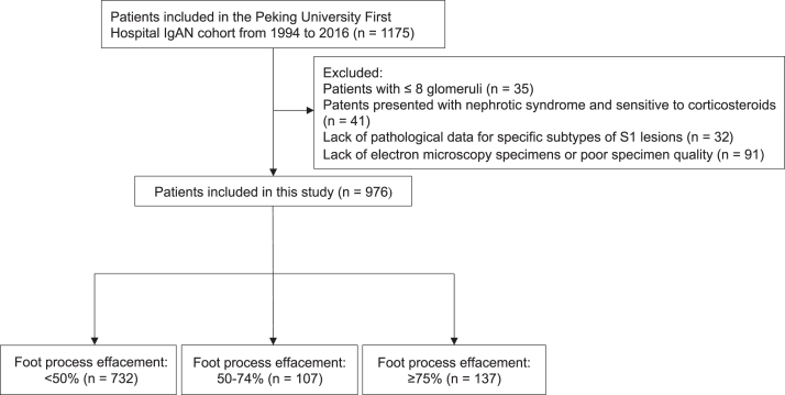 Effects of Podocyte Foot Process Effacement on Kidney Prognosis and Response to Immunosuppressive Therapy in IgA Nephropathy.