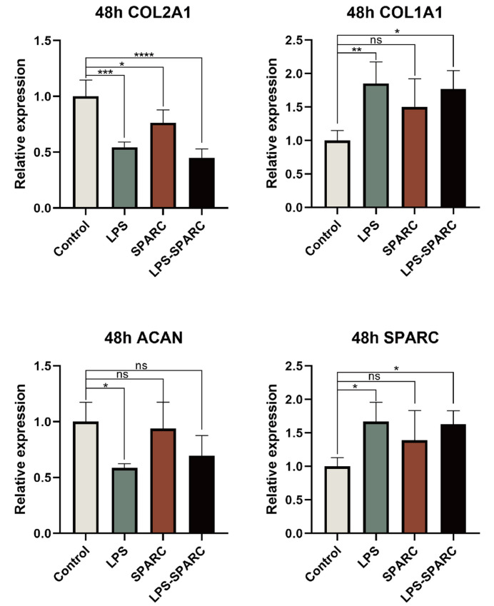 Molecular Mechanisms of Intervertebral Disc Degeneration: Significance of SPARC Gene Expression.