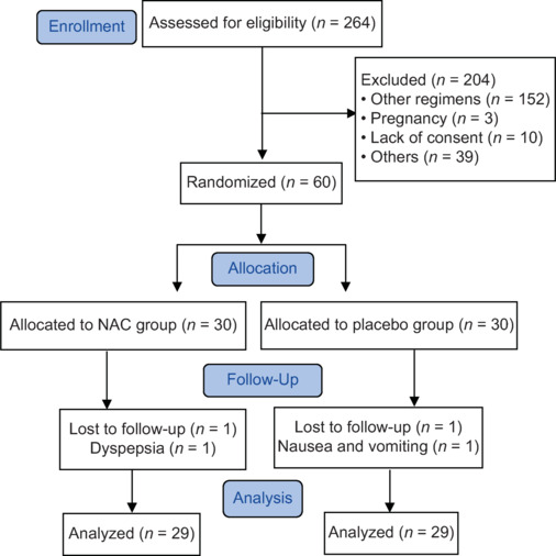 Evaluation of the Safety and Efficacy of N-acetylcysteine in the Prevention of Paclitaxel-induced Peripheral Neuropathy: A Randomized, Double-blind, and Placebo-controlled Trial.