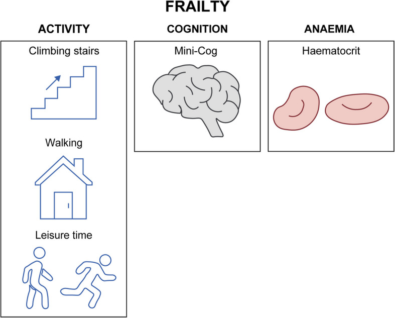 In search of a characterisation of frailty: applying exploratory factor analysis to ageing preoperative patients : Cross-sectional study.
