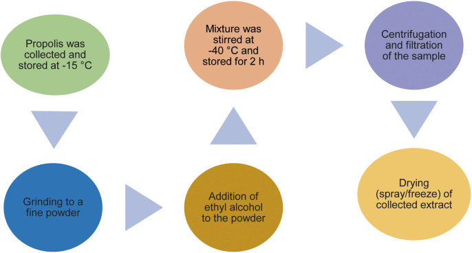 Turning Waste into Taste: Effective Upcycling of By-Products for Innovative Food Solutions<sup>§</sup>.
