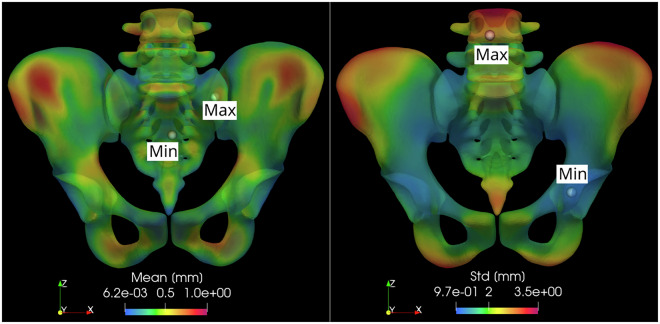 BoneDat, a database of standardized bone morphology for in silico analyses.