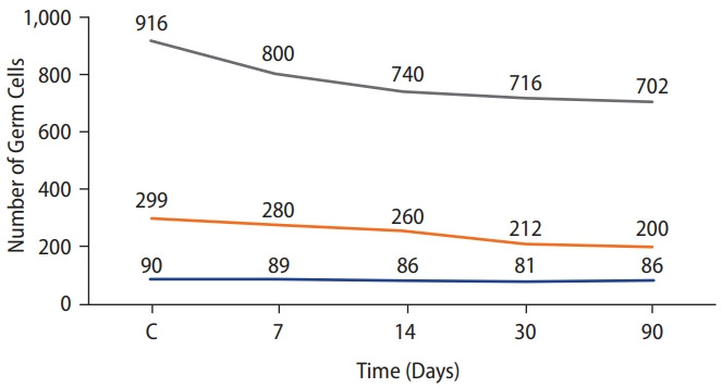 Pathological and vascular changes in the rat testiсle after experimental trauma.