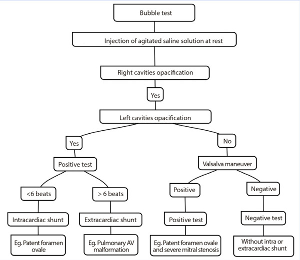 The role of agitated saline contrast echocardiography in the evaluation of pulmonary hypertension.
