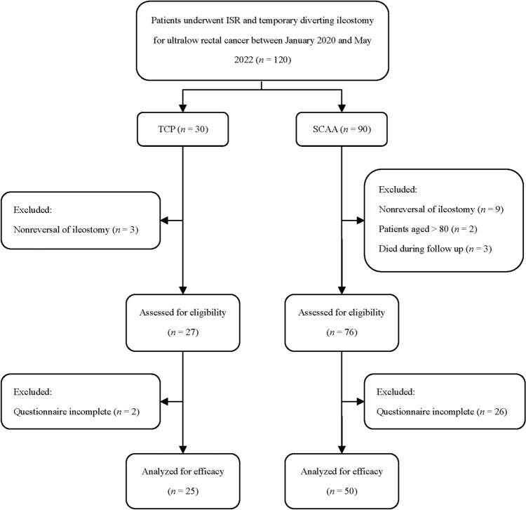 Functional outcomes and quality of life after intersphincteric resection with transverse coloplasty pouch anastomosis for ultralow rectal cancer: a prospective cohort study.