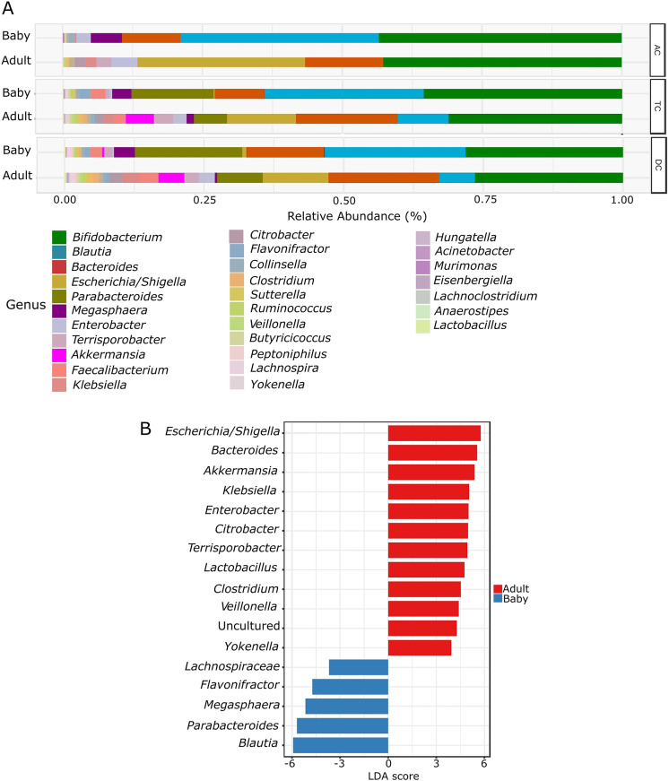 The effect of dietary transition on infant microbiota composition and metabolic activity captured with the simulator of the human intestinal microbial ecosystem (SHIME).