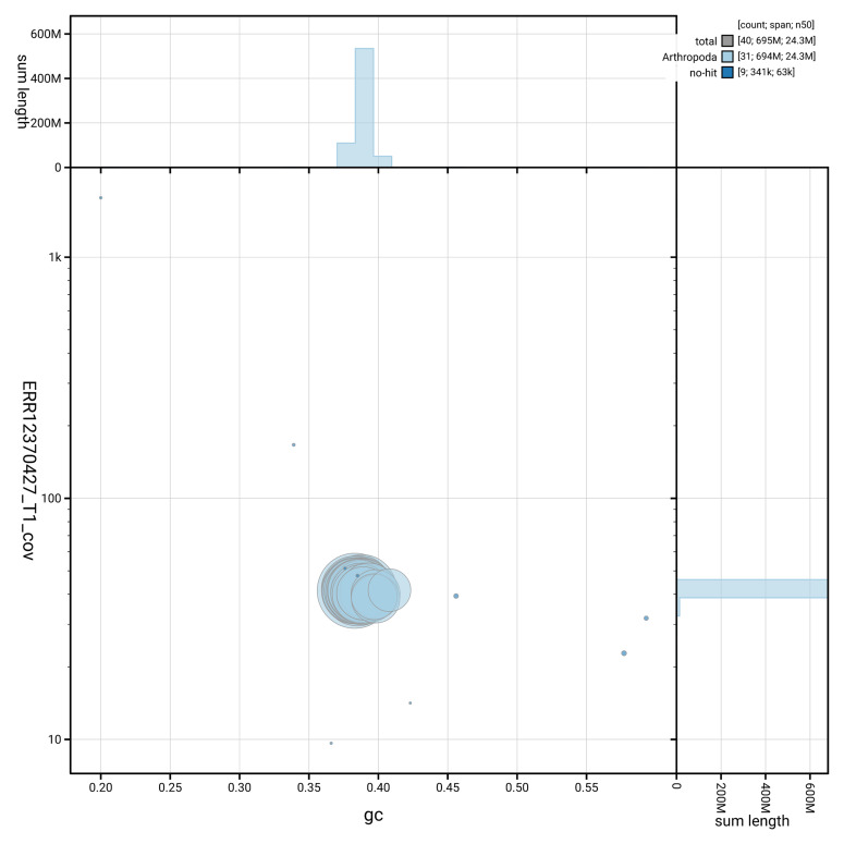 The genome sequence of the Small Dotted Buff moth, <i>Photedes minima</i> Haworth, 1809.
