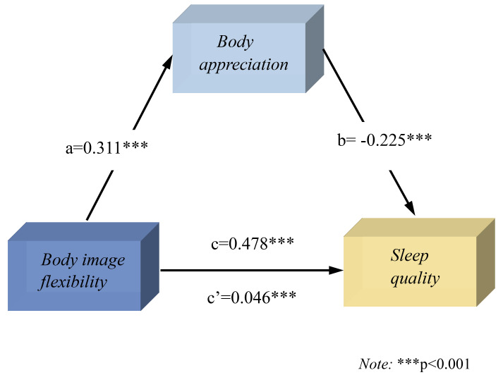 The Role of Bedtime Procrastination, Rumination, Loneliness, and Positive Body Image in Predicting Sleep Quality Among University Students: A Sex-Specific Analysis.