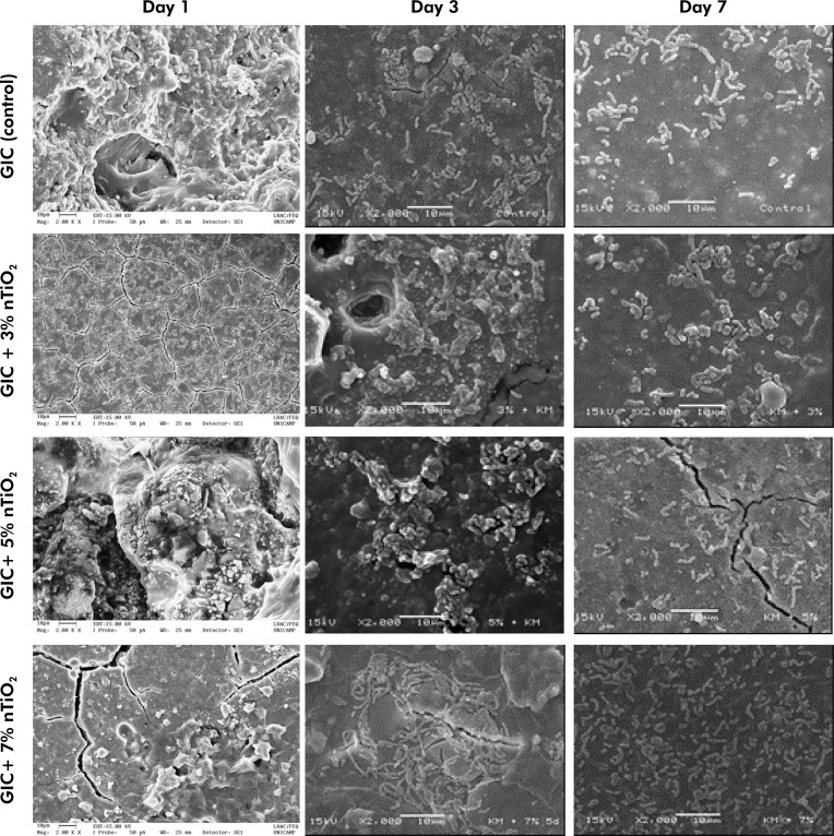 Effect of titanium dioxide nanotubes incorporated into conventional glass ionomer cement on L. acidophilus.