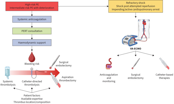 The latest in the management of pulmonary embolism.