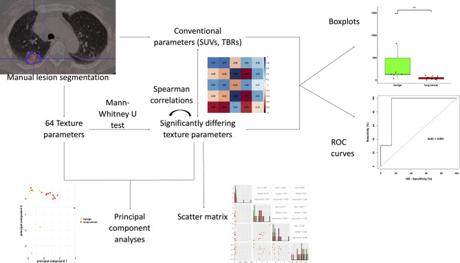 Image analysis: <sup>68</sup>Ga-FAPI-46 PET derived texture parameters improve the differentiation of malignant and benign pulmonary lesions.