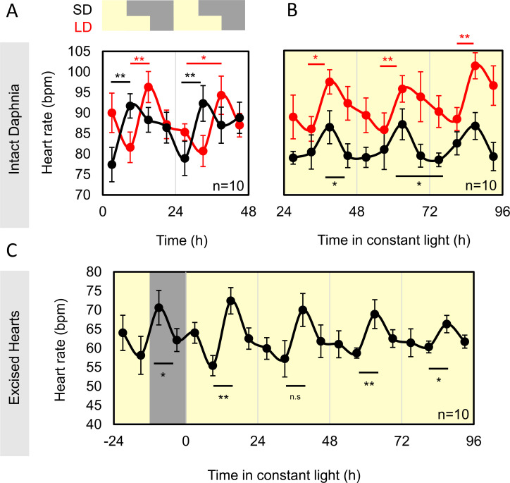 Photoperiodic and intrinsic circadian regulation of heart rate in <i>Daphnia pulex</i>.