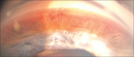 Abstract Image