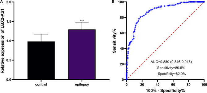 The dysregulation and regulatory mechanism of long non-coding RNA LBX2-AS1 in children with epilepsy.