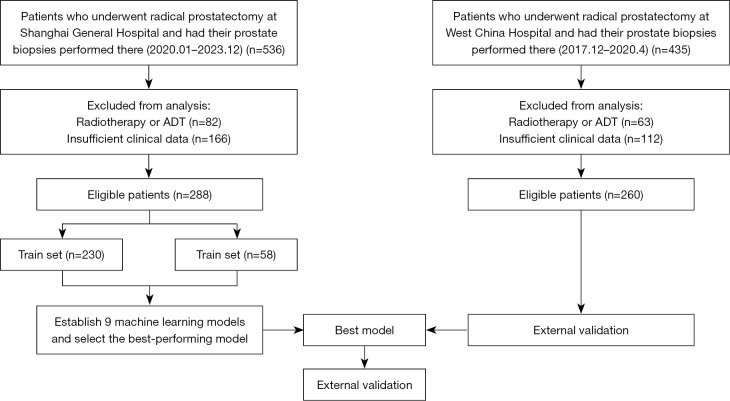 Development and validation of an interpretable machine learning model for predicting Gleason score upgrade in prostate cancer.
