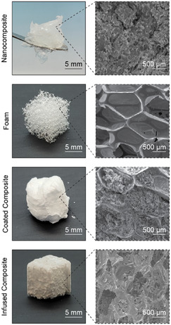 Correction to "Nanoengineered Shape-Memory Hemostat".