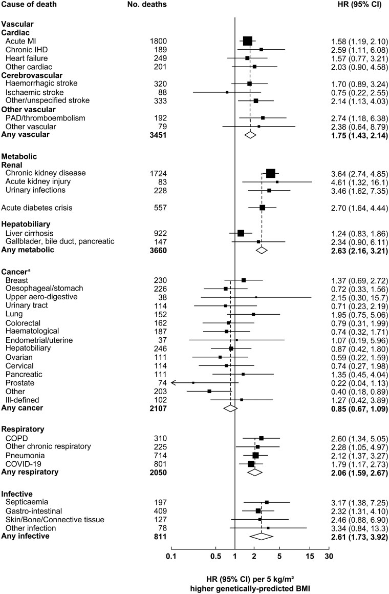 A Mendelian randomization study of the effect of body mass index on 52 causes of death among 125 000 Mexican adults with admixed ancestry.