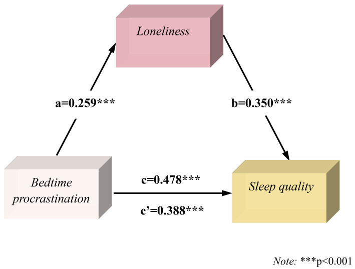 The Role of Bedtime Procrastination, Rumination, Loneliness, and Positive Body Image in Predicting Sleep Quality Among University Students: A Sex-Specific Analysis.