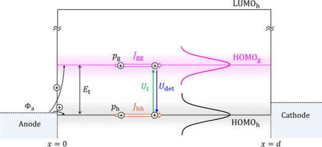 Percolative Charge Transport in Organic Semiconductor Devices with Host–Guest Layers