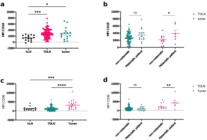 CD18 and CD36 expression in neutrophils from tumors and tumor-draining lymph nodes: implications for metastasis in oral squamous cell carcinoma.
