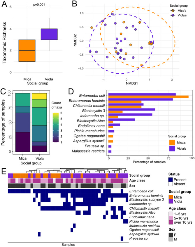 Eukaryotic composition across seasons and social groups in the gut microbiota of wild baboons.