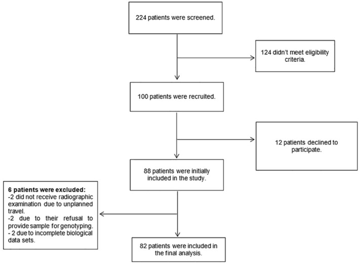 The Influence of CYP2B6, GSTP1, and SLCO1B1 Star Allele-Predicted Phenotypes and CBR1 Genetic Variants on Effectiveness Outcomes in Patients With Hepatocellular Carcinoma Receiving Doxorubicin via Transarterial Chemoembolization.