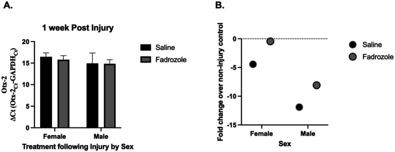 <i>Otx2</i> mRNA expression is downregulated following traumatic brain injury in zebra finches.