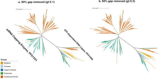 Ancient Host-Virus Gene Transfer Hints at a Diverse Pre-LECA Virosphere.