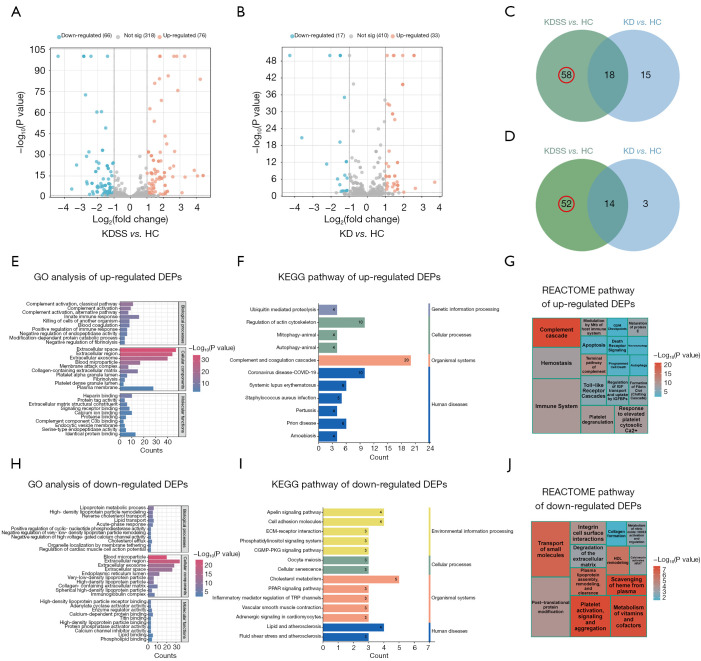 Up-regulated vitronectin in Kawasaki disease shock syndrome serves as a potential biomarker.