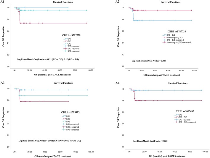The Influence of CYP2B6, GSTP1, and SLCO1B1 Star Allele-Predicted Phenotypes and CBR1 Genetic Variants on Effectiveness Outcomes in Patients With Hepatocellular Carcinoma Receiving Doxorubicin via Transarterial Chemoembolization.