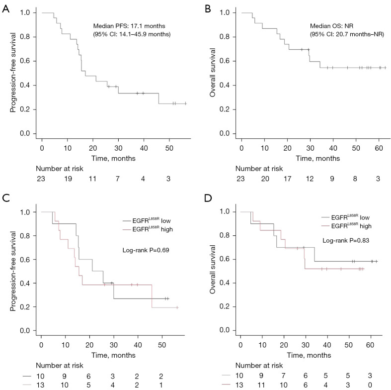 Impact of mutant protein expression on clinical outcomes in patients with EGFR L858R-mutated non-small cell lung cancer.