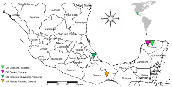 First Report of the L925I kdr Mutation Associated with Pyrethroid Resistance in Genetically Distinct <i>Triatoma dimidiata</i>, Vector of Chagas Disease in Mexico.