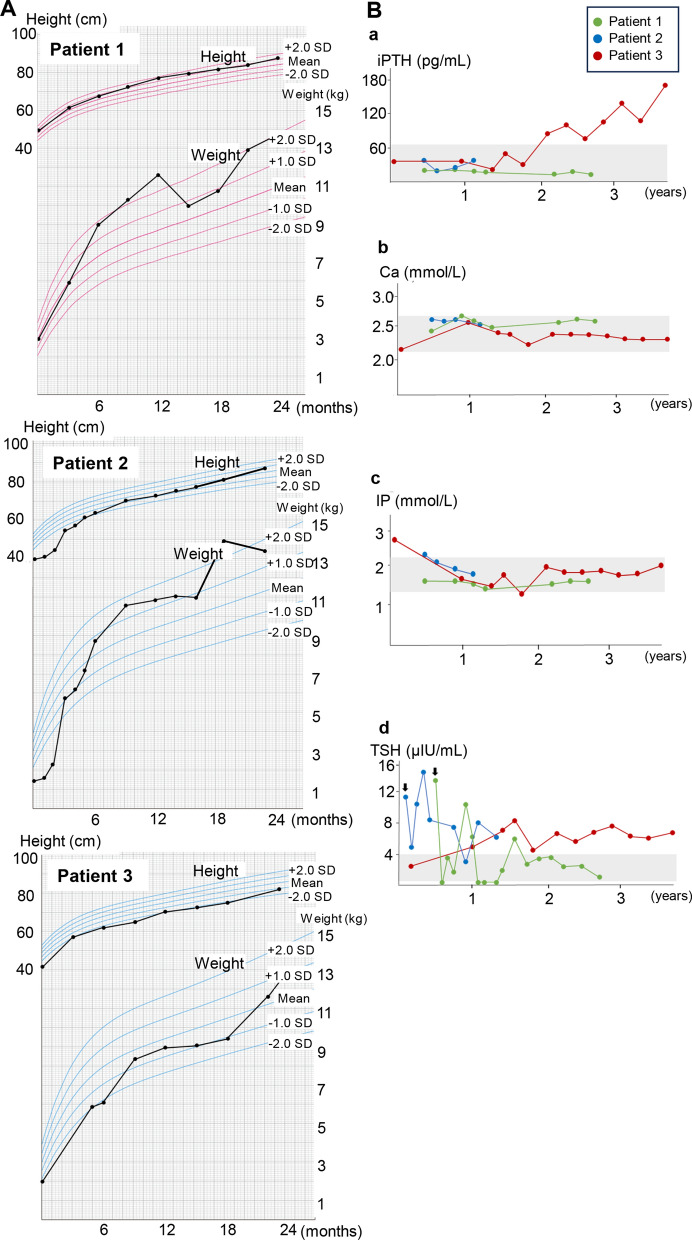 Multi-locus methylation analyses reveal GNAS methylation defects in three patients with the Beckwith-Wiedemann syndrome phenotype and no molecular defects in the 11p15.5 imprinted region.