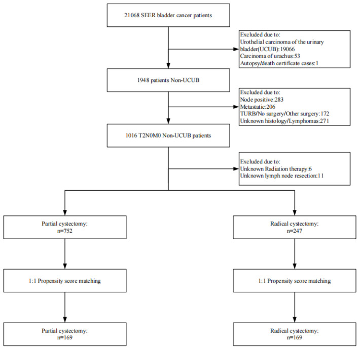 Survival After Partial Cystectomy Versus Radical Cystectomy for Non-Urothelial Carcinoma of the Bladder: A Population-Based Study.