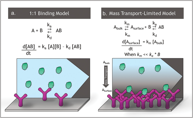 The case for calibration-free concentration analysis.